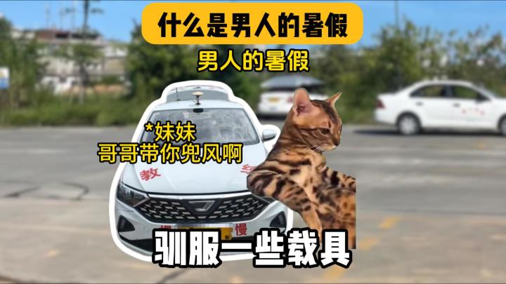 什么才是男人的暑假截图