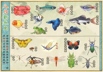 【仙山小农】更新预告·八月新鱼虫