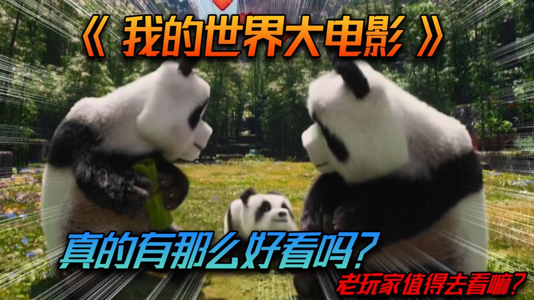 video-4867110