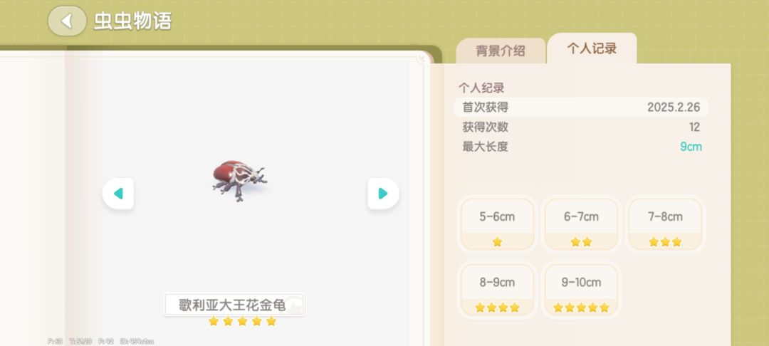 歌利亚大王花金龟毕业 2