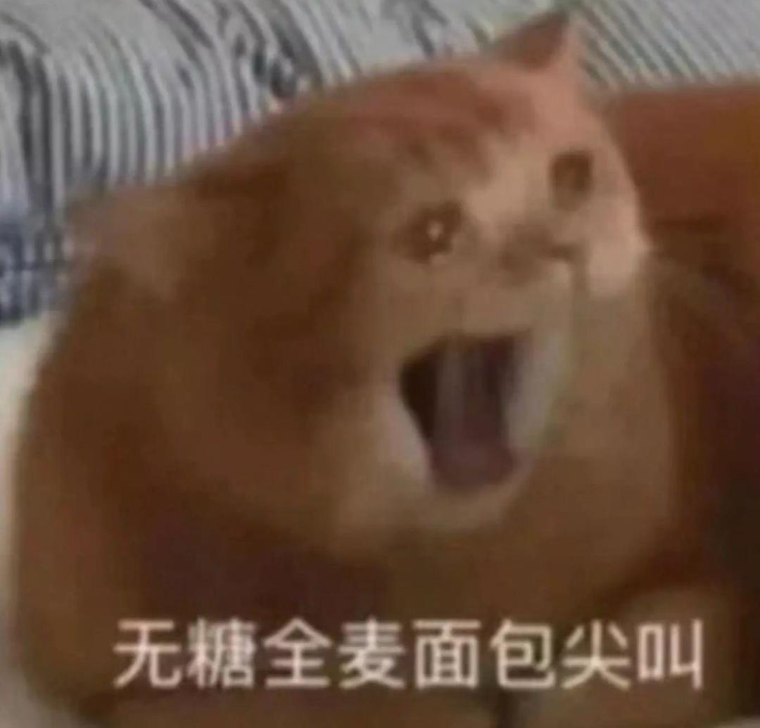 葵。。。 2