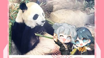 共游巴适四川DAY4，圆滚滚就是可爱奥义