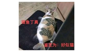 给游戏一点建议，还有运营和策划真是人才