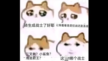 【竞速向】新水战对王秘境143打法及建议（2024.9.21）