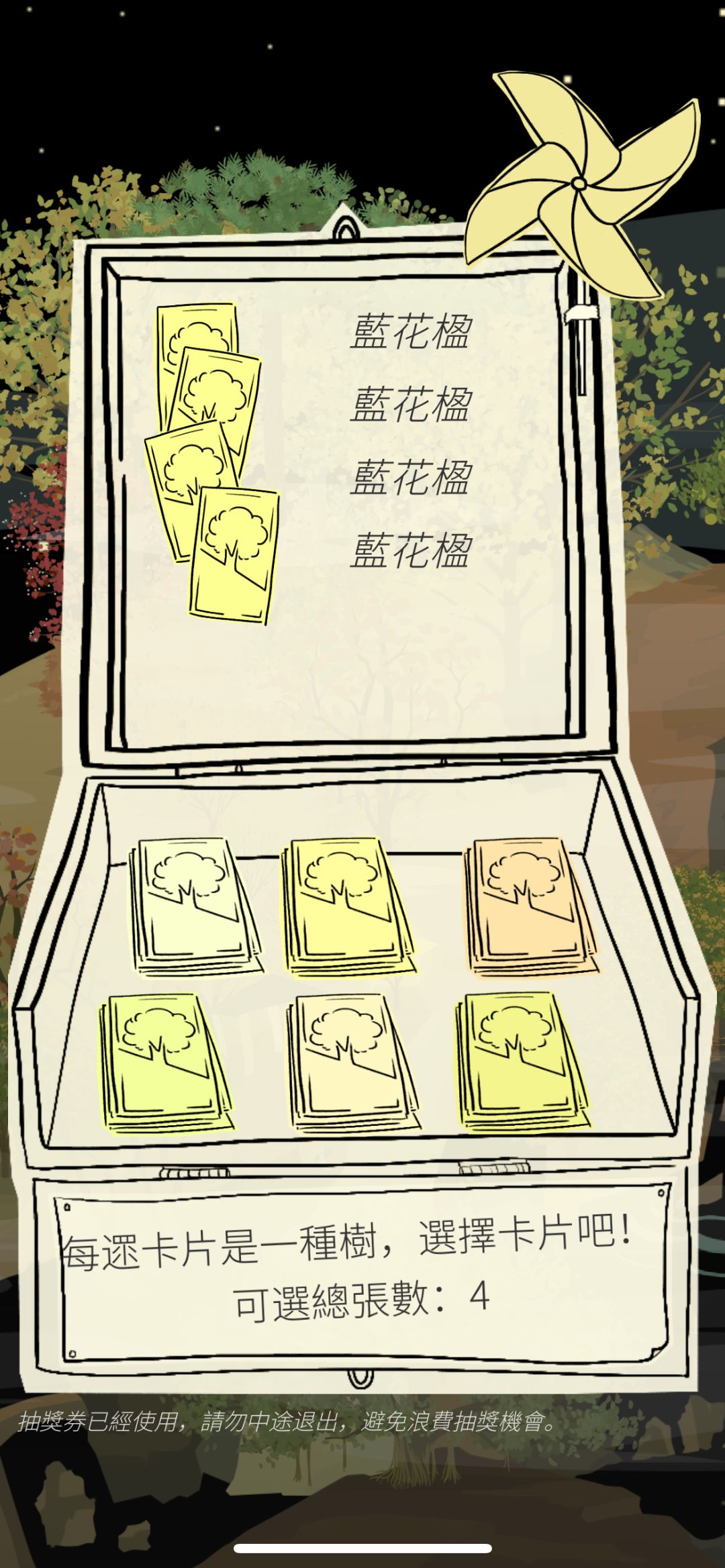 4连蓝花楹✌️ 1