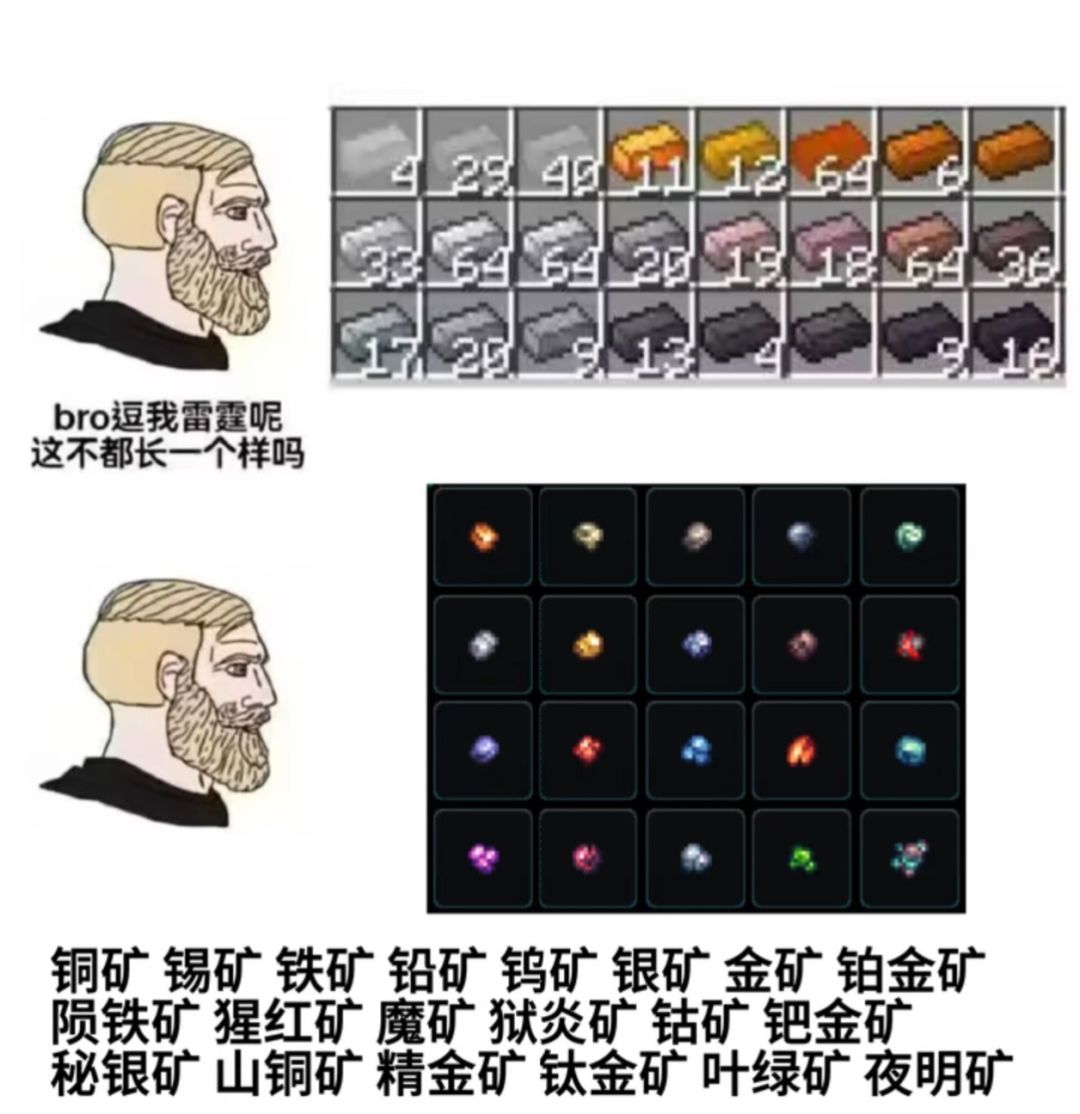 泰拉玩家的视力! 1