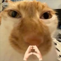 剧情互动丨究竟是什么让十万年海怪不战而走？