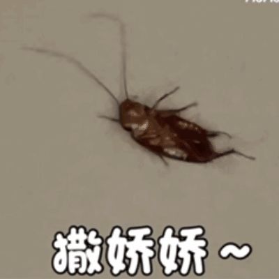 官群里发通知了,快去看!截图