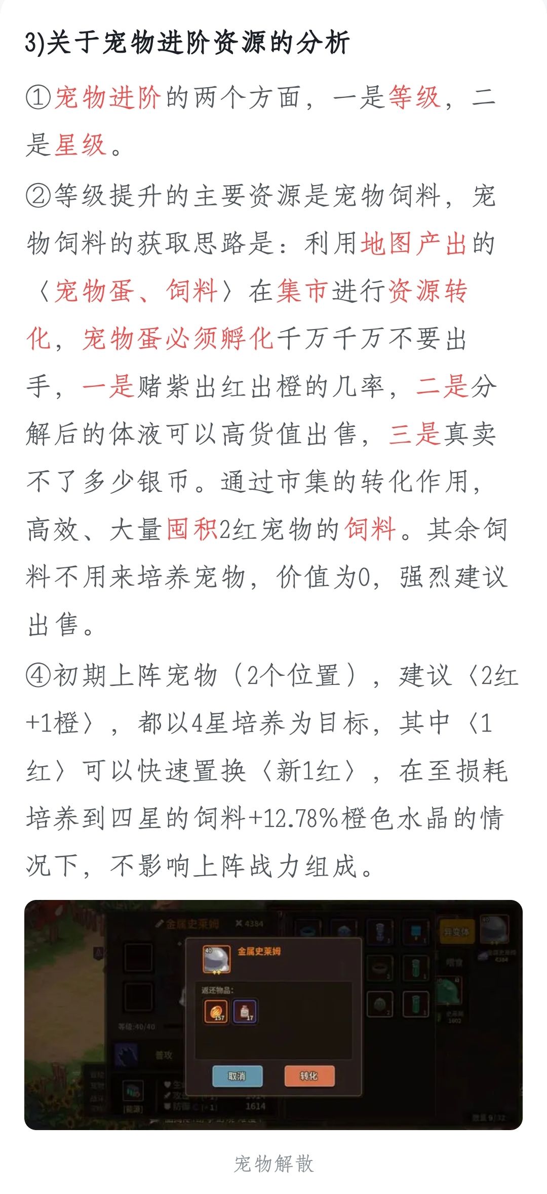 为橙宠正名 就在今日!! 3