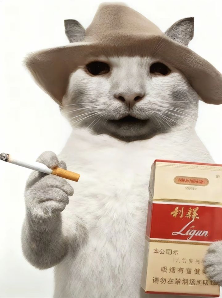 缺经费了吗?这边狂出角色截图
