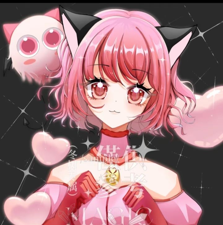 小梅猫猫 1