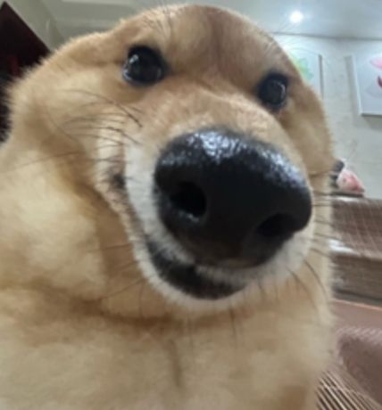 坐等补偿截图