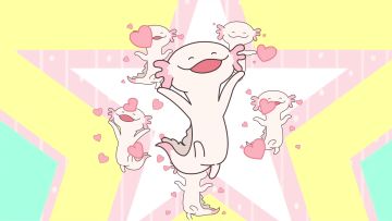 软萌蝾螈的可爱日常~