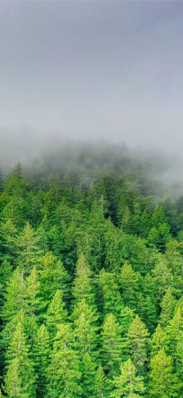 讲一讲第六识。截图