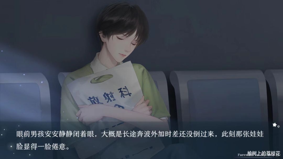 榆树上的荔枝花 8