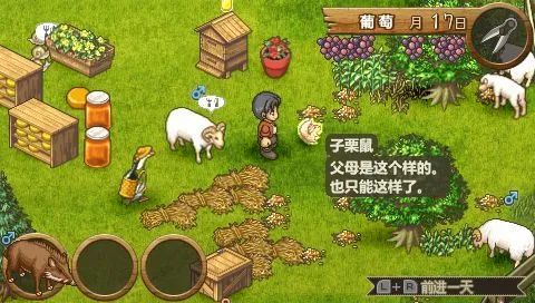 不得不向大家推荐一款画风超美的模拟经营游戏，欢迎来到绵羊村 4