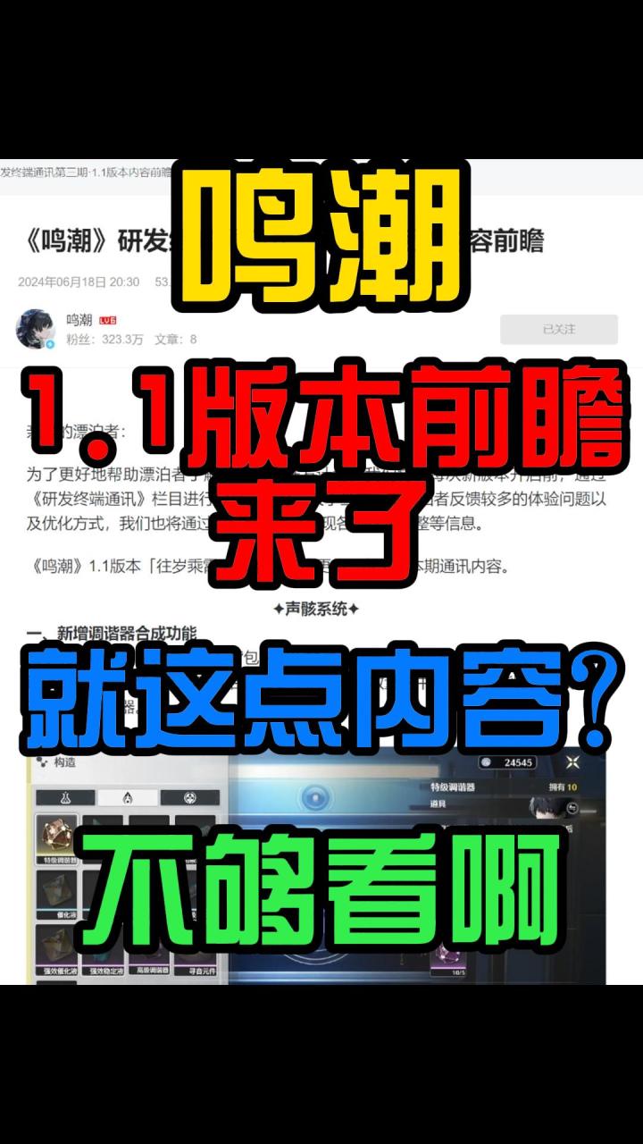 鸣潮1.1前瞻就这？完全不够看啊截图