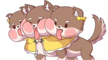 【次元攻略】第5期 平民一档(含无市长打法)