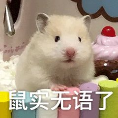 突然后悔没抽百花了截图