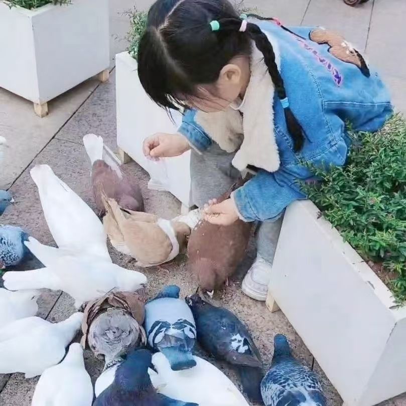 动态图片 5