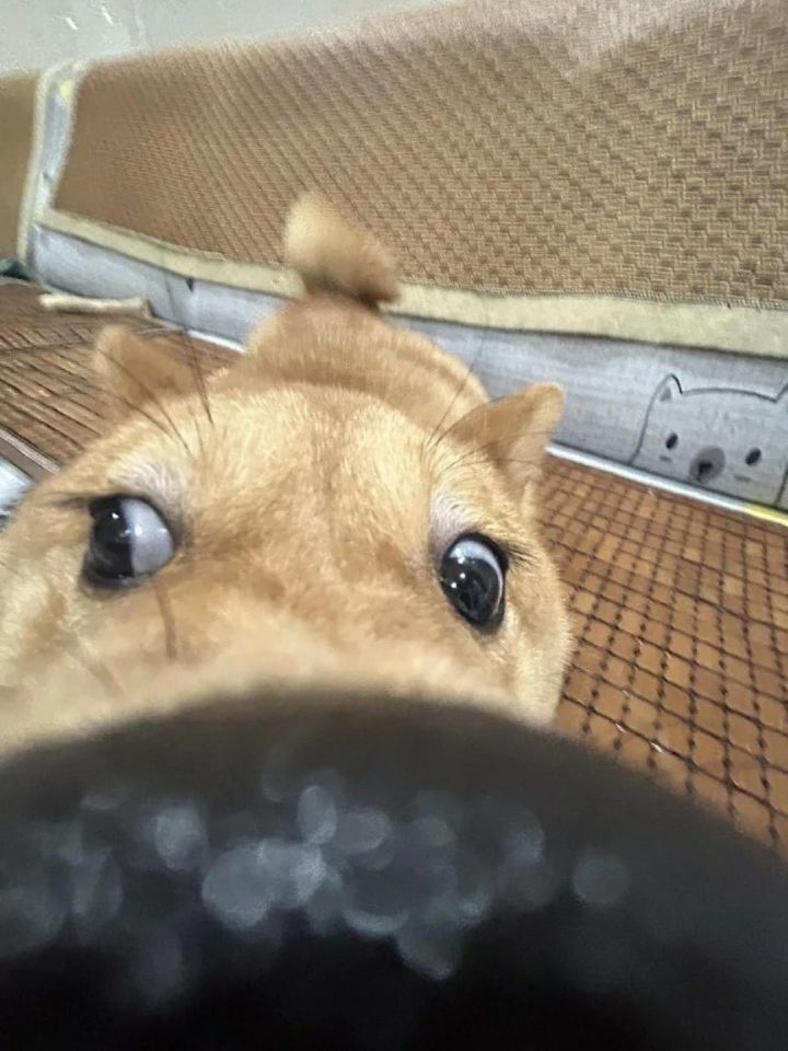 好玩爱玩截图