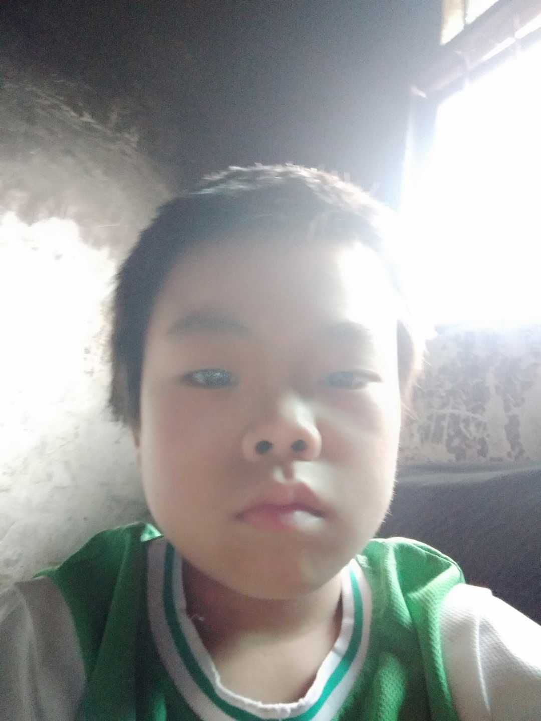 动态图片 1