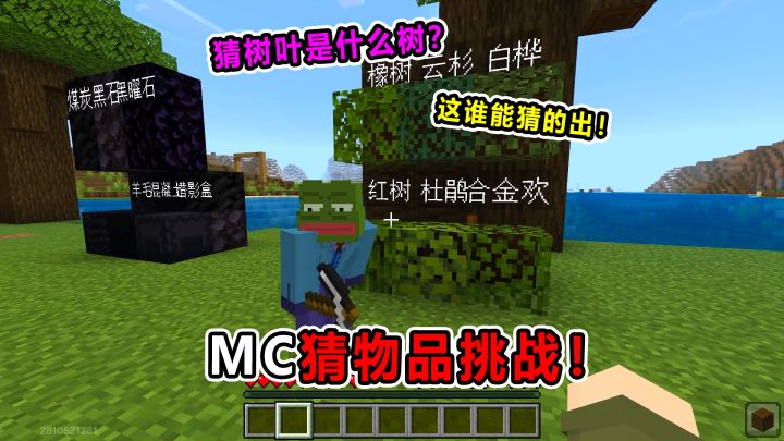 MC猜物品挑战！猜树叶？能再阴间点吗？截图