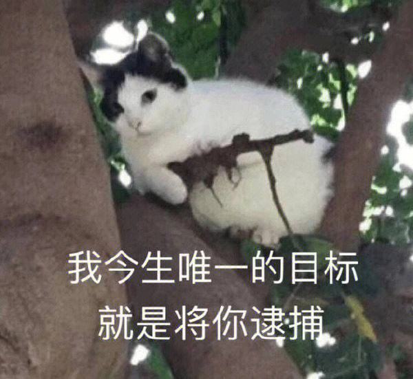 忘忧剑君江湖录 1