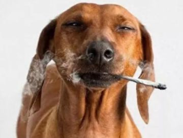 关于借号和换号