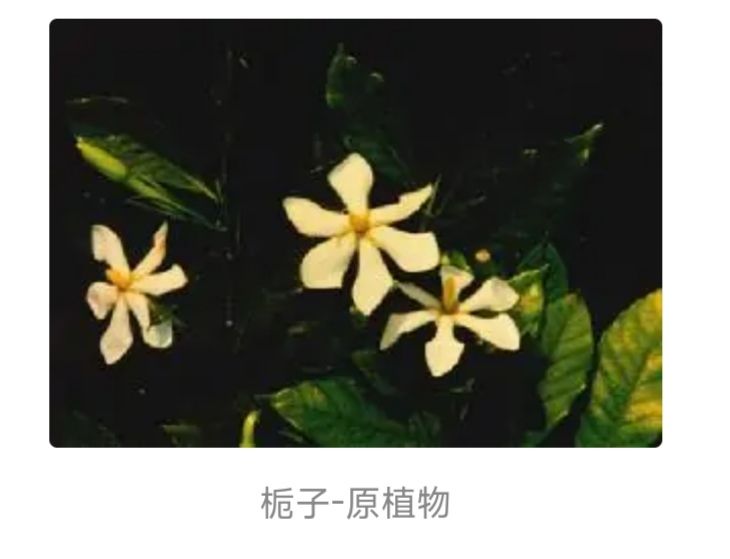 pv彩蛋 少前2宇宙第一 3