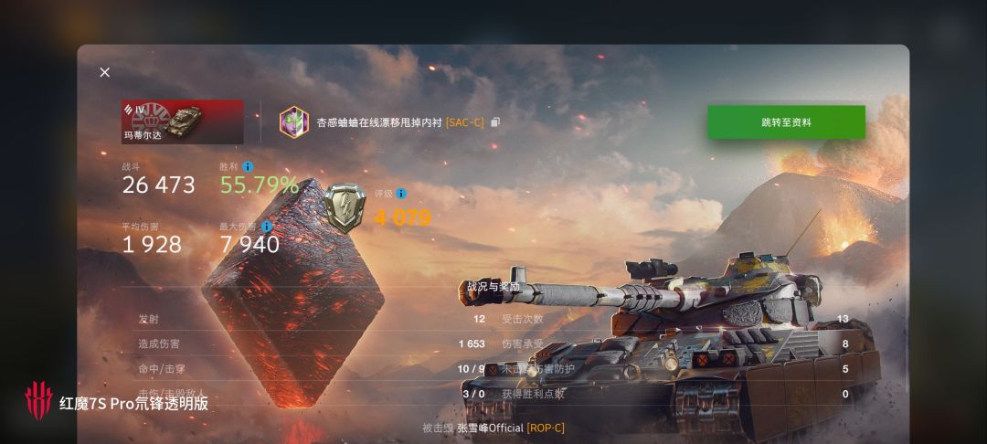 动态图片 12