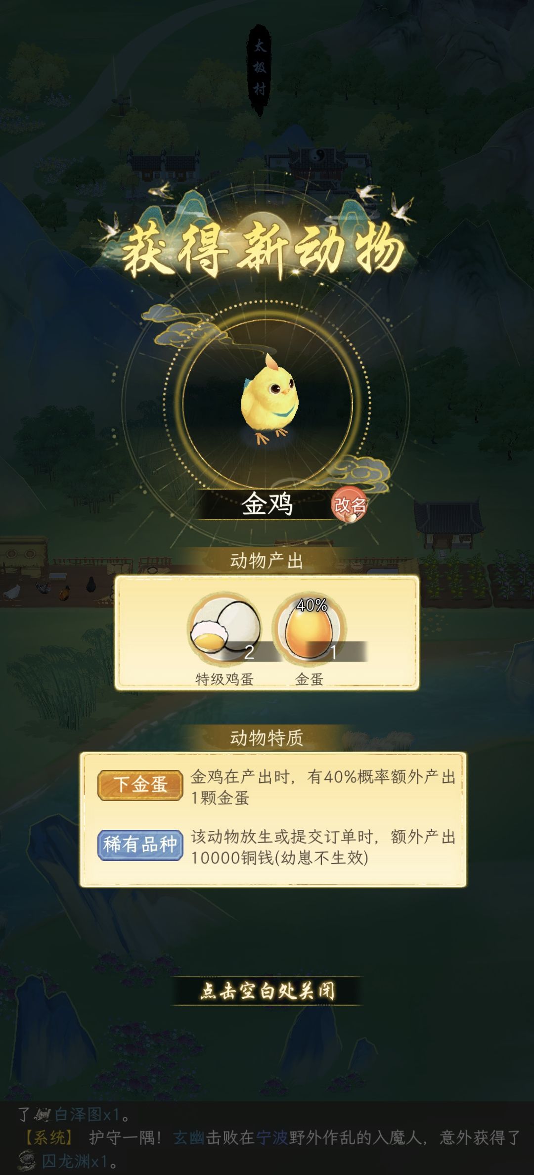 金鸡 2