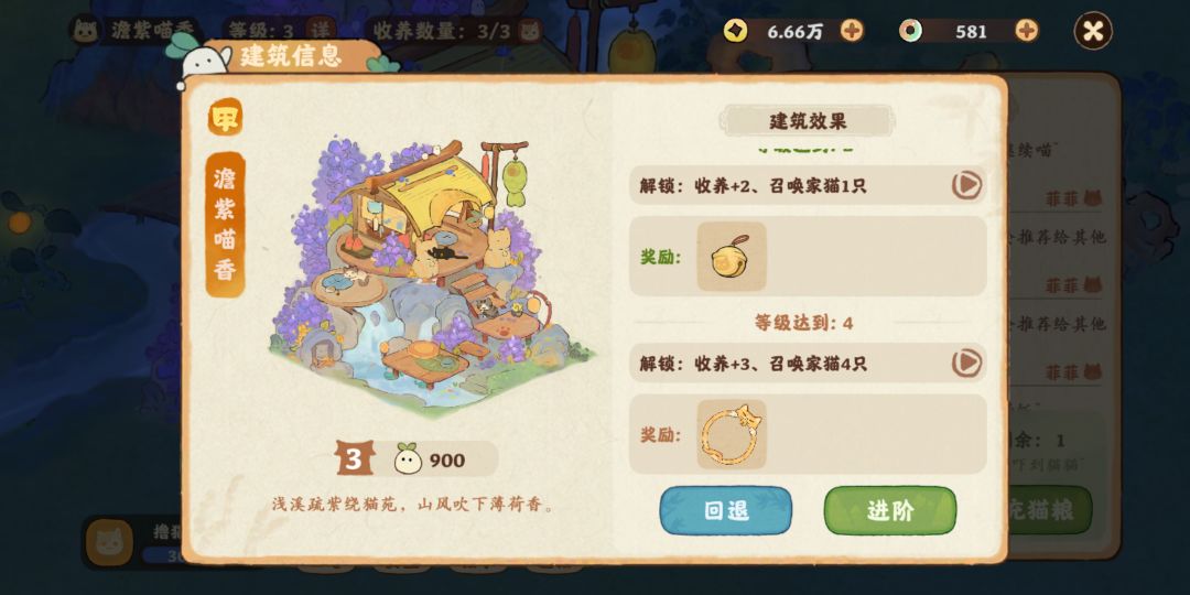想要多养一只猫咪的希望落空 1
