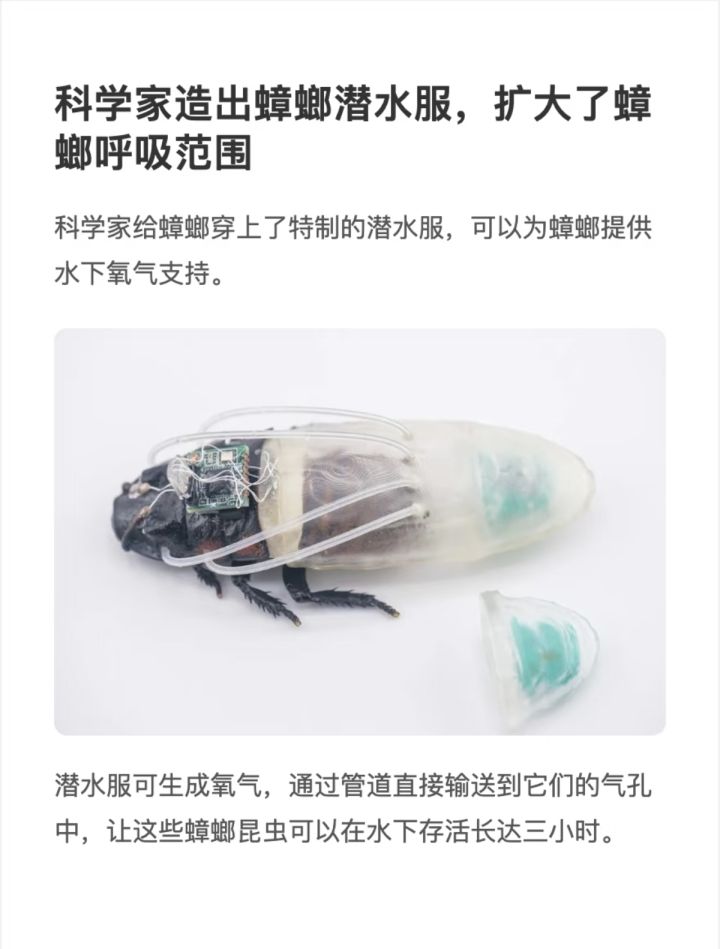 科学家造出蟑螂潜水服，我去，以后可以被蟑螂拯救了截图