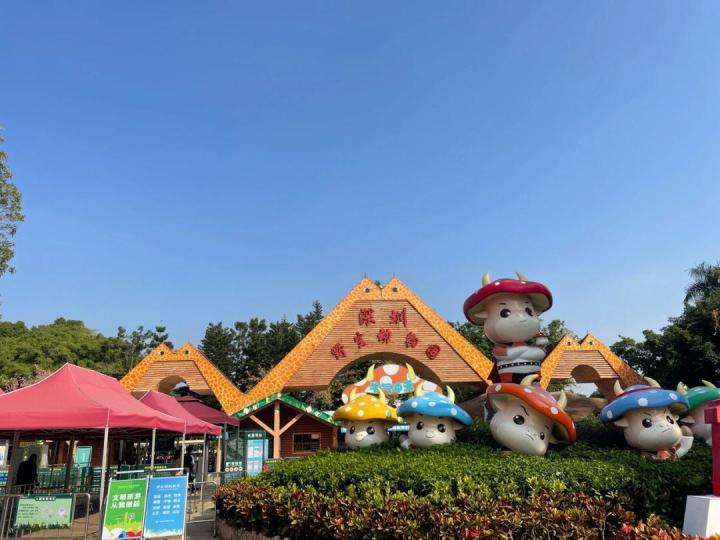 假日分享第二天截图