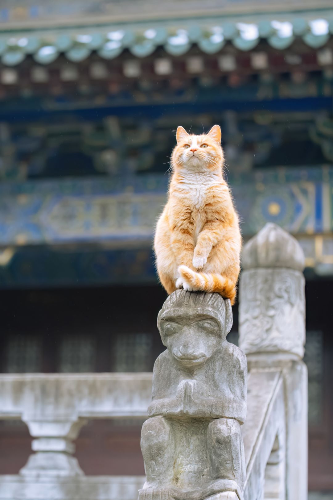 萌新求助 3