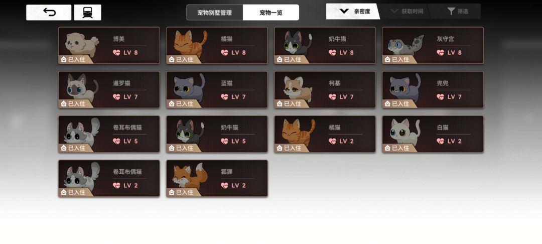 铲屎官们该喂猫了！ 2