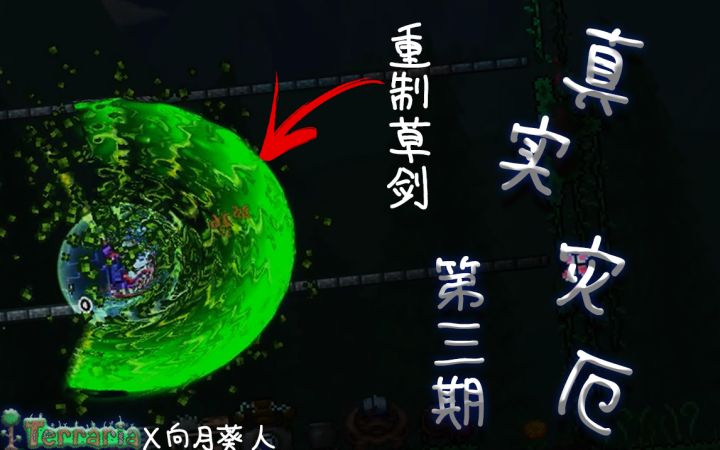 泰拉瑞亚真实灾厄!逆天bug秒杀boss截图