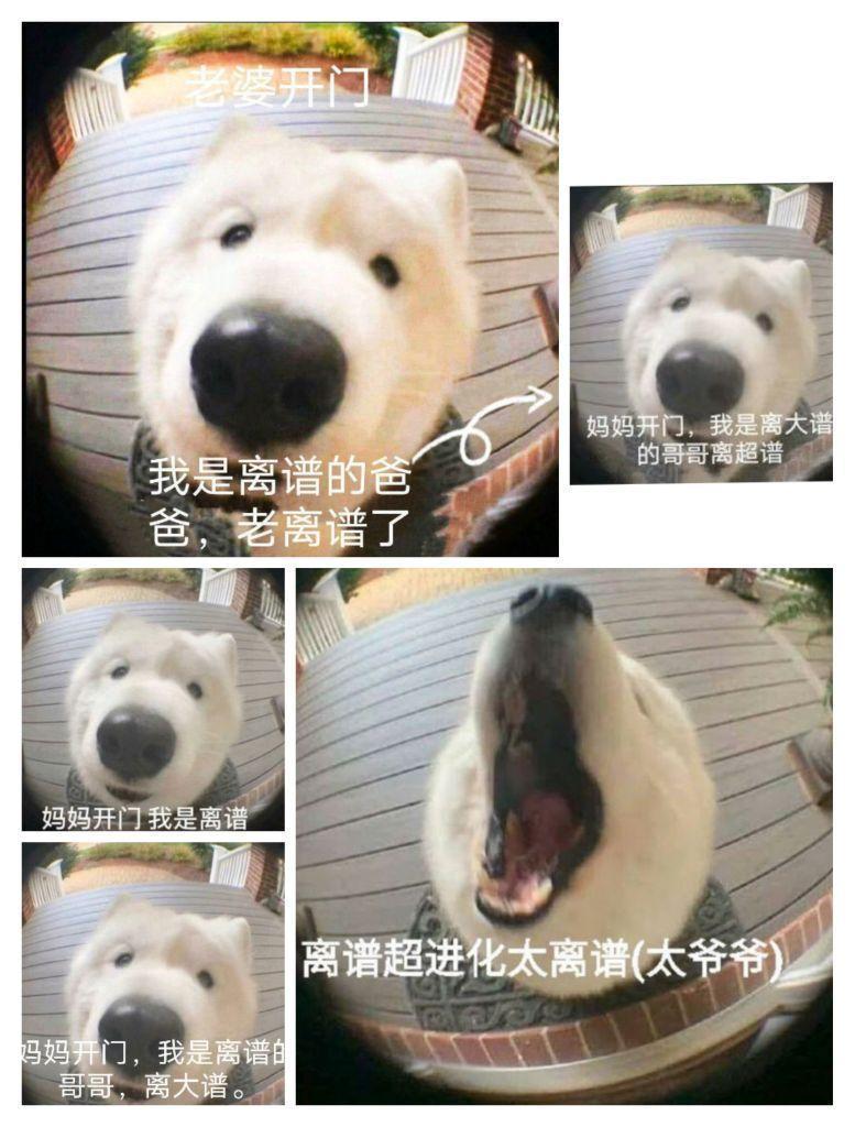 啊啊啊,我的追逐杖啊!怎么还不来啊!!! 1