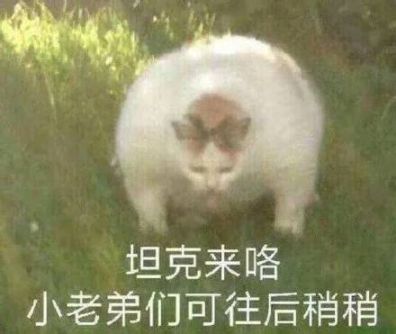 跟朋友不同时段入坑该怎么办？截图