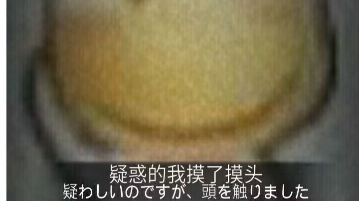 video-3609612