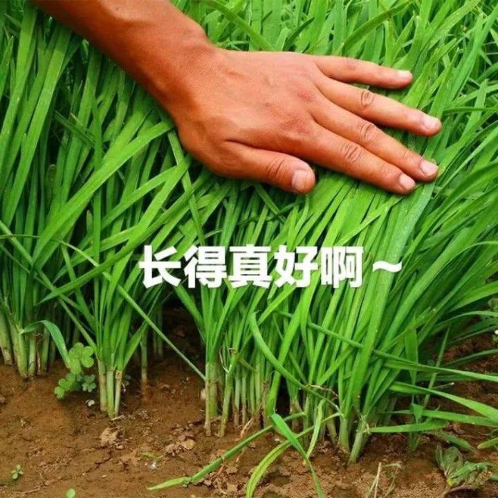 游戏太棒了,碳价越来越低,礼包越来越贵截图