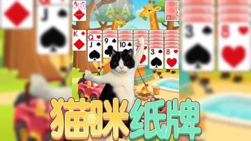 天竺猫用舞蹈🐾和文字告诉你如何接龙🎴