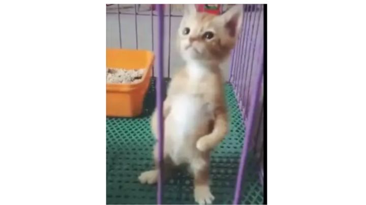 抽到克拉拉的看过来 欢迎加入伟大的反们!!!截图