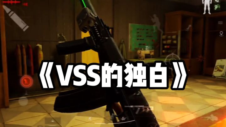 腰射秒人之神，虎落平阳——VSS！截图