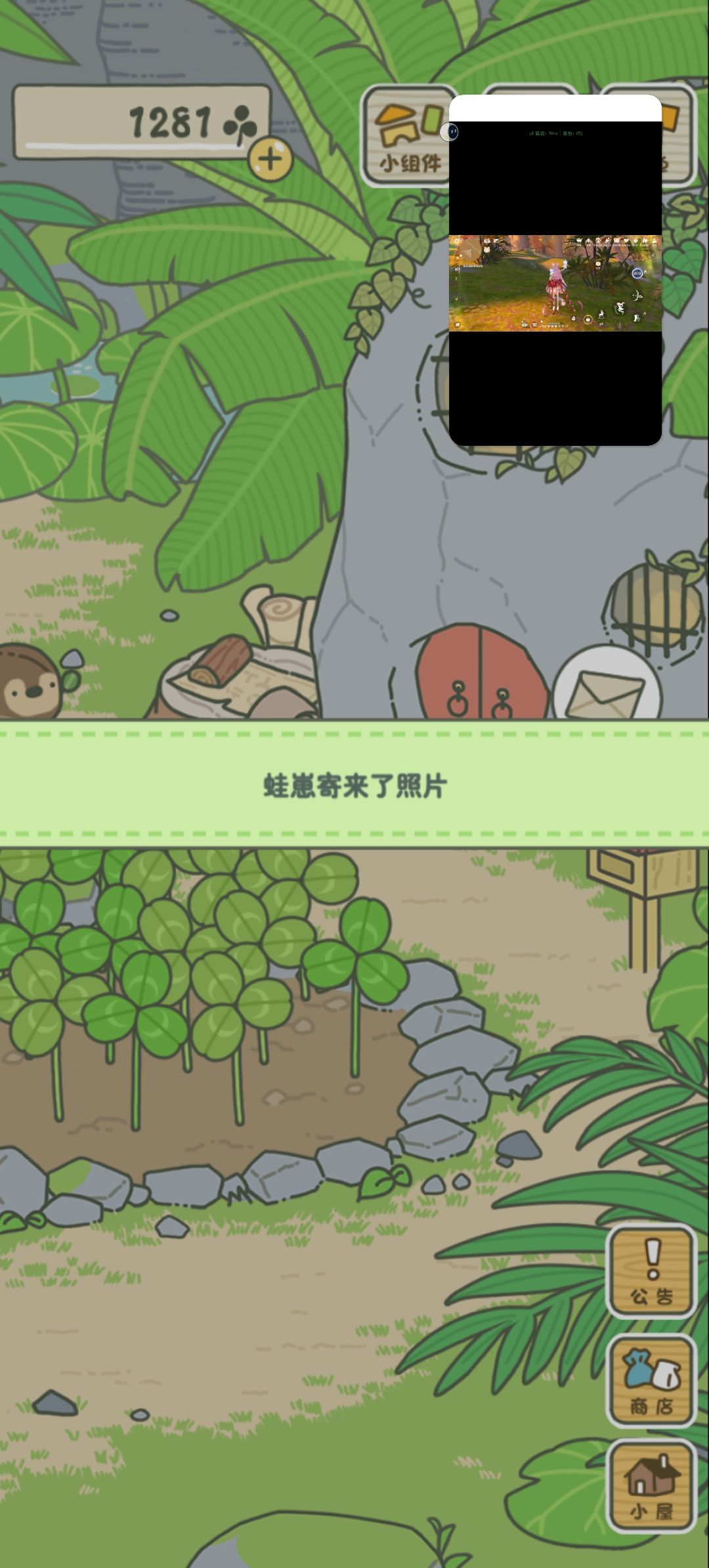 动态图片 3