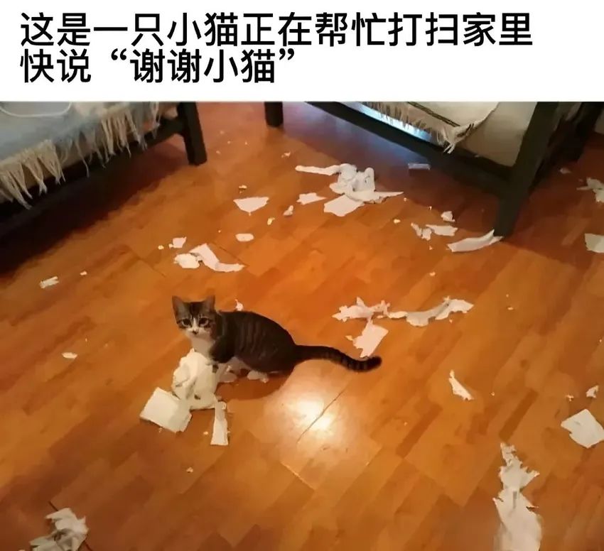 ✨今日份梗图分享第六十五期✨ 3