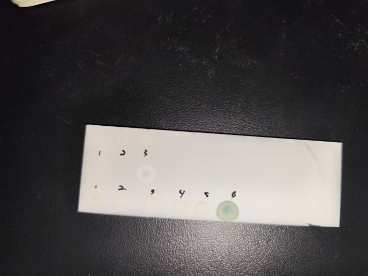 乱七八糟的生活以及山头截图