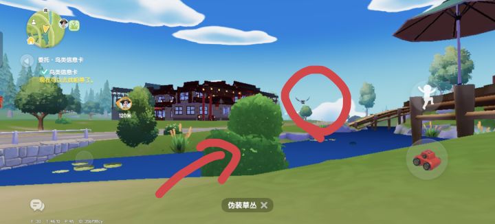 草丛把丹顶鹤吓跑了 ⸝⸝⸝ ╸▵╺⸝⸝⸝截图