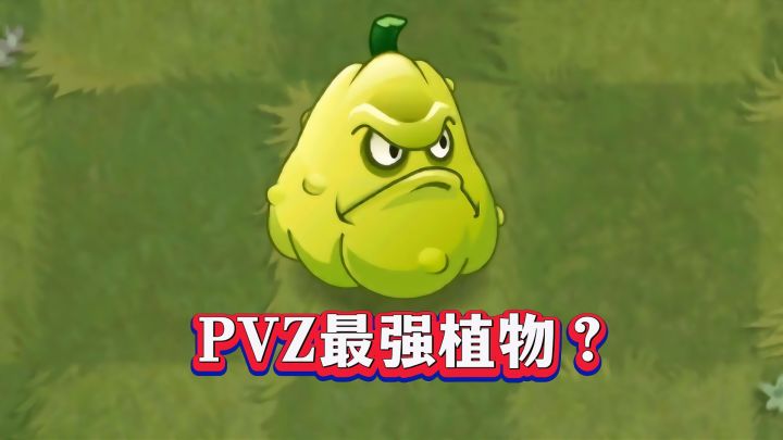 窝瓜1-4阶实测!它是最强植物吗?截图